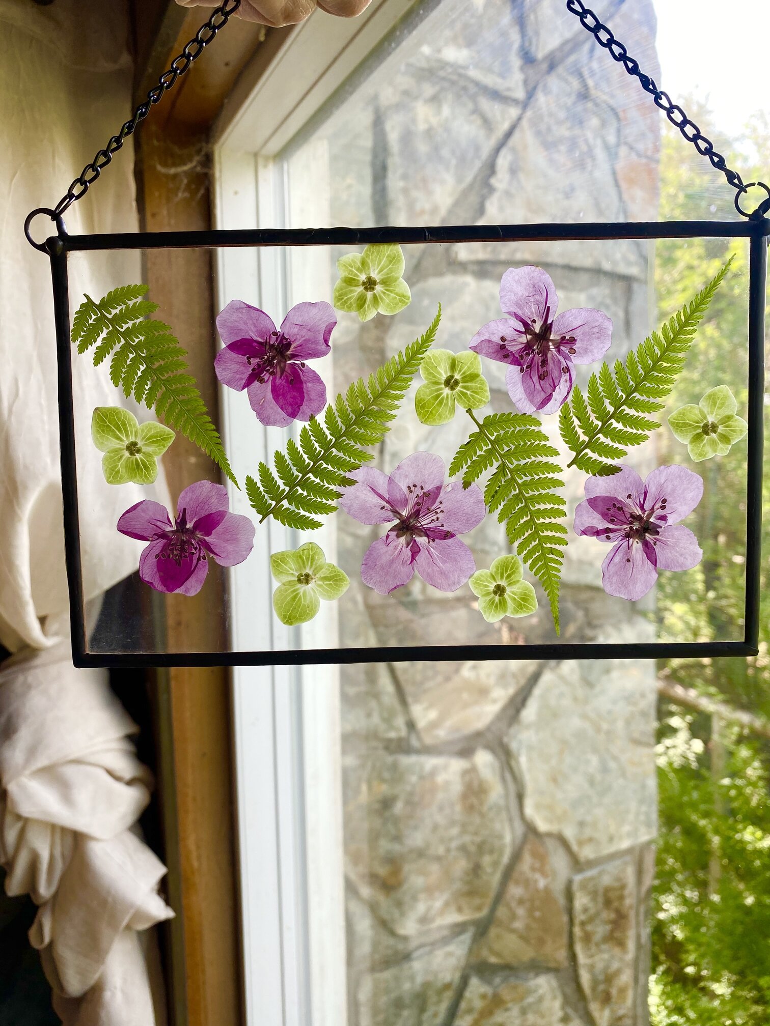 Pink pressed flowers shops in glass floating frame, pressed flower suncatcher, real flowers framed, smartweed, amaranth,flower pressing,floral art